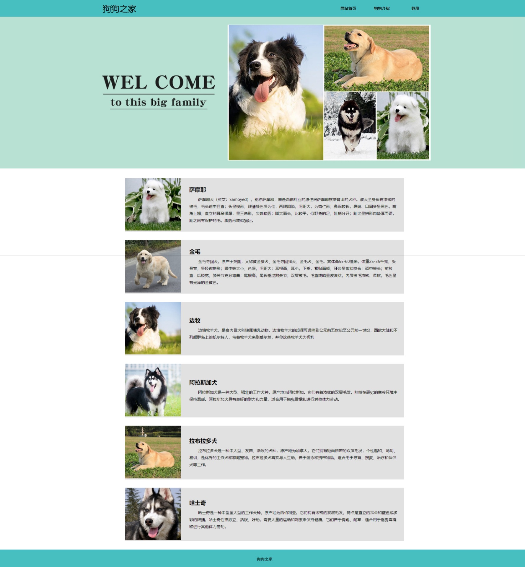 狗狗介绍